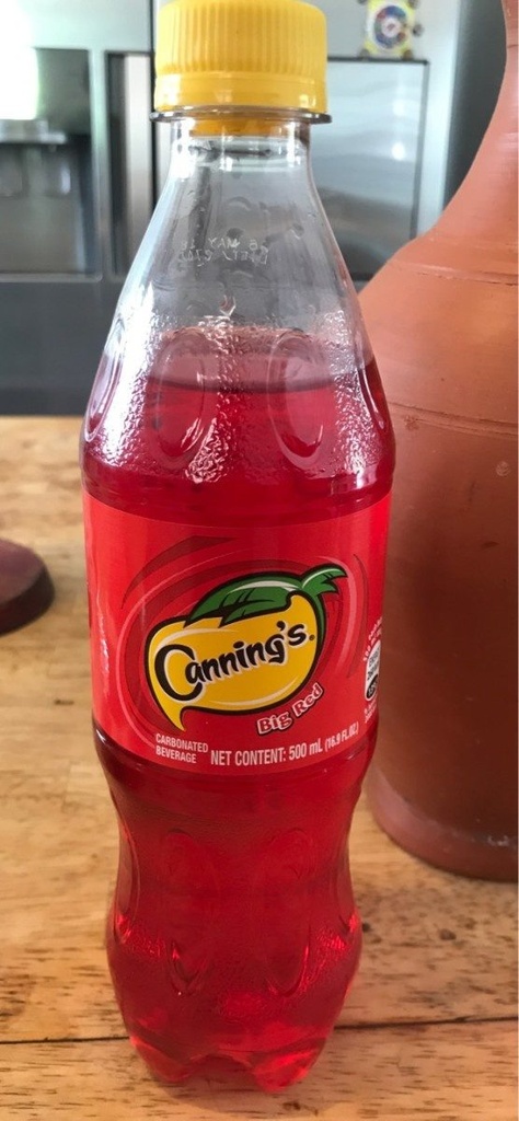 FANTA SORREL 20OZ