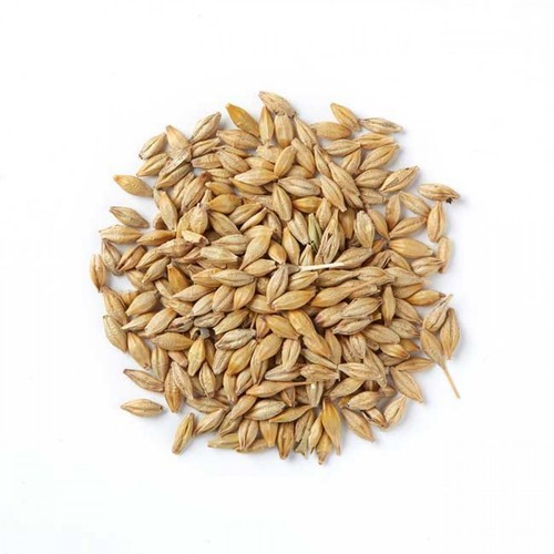 COOK'S MATE BARLEY SEED 226G