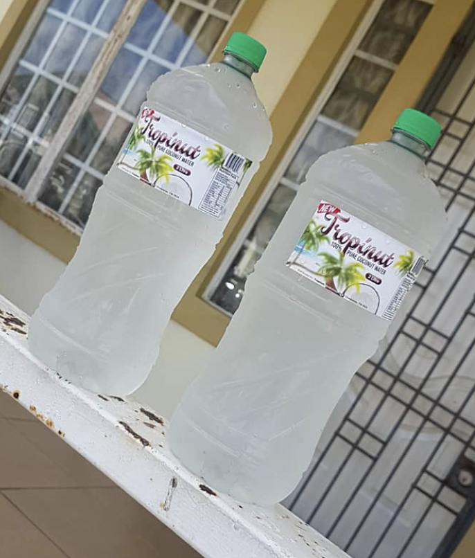 TROPINUT COCONUT WATER 2L