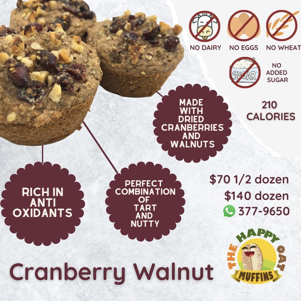 Happy Oat - Cranberry Walnut  MINIS