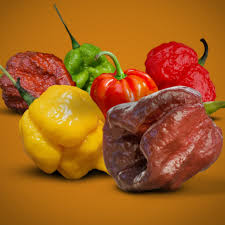 Hot Pepper (Market)