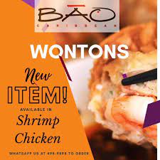 BAO CHICKEN WONTONS (12 PCS)