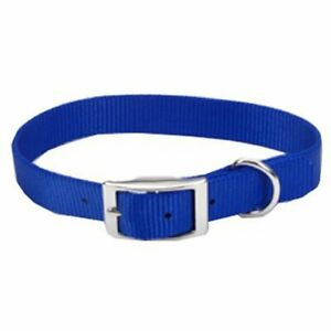 PET NYLON COLLAR BLUE 18&quot;