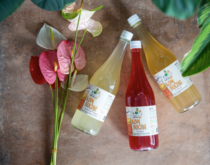 HUNGRY PLANT KOMBUCHA P/APPLE &amp; GINGER 275ML