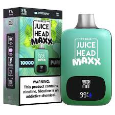 JUICE HEAD 10K - FRESH MINT