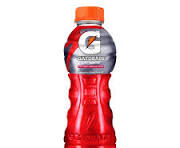 Gatorade Fruit Punch 350ML