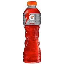 Gatorade Fruit Punch 600ML