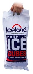 [08220] Party Ice 10lb Bag