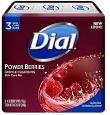 DIAL 3 BAR SOAP POWER BERRIES 4OZ