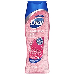 DIAL BODY WASH HIMALAYAN SALT 16OZ