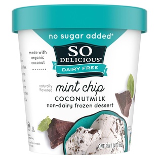 SO DELICIOUS MINT CHIP NSA 16OZ