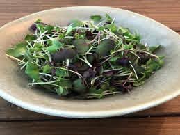 GREENWOOD FARMS - MICROGREENS (SPICY)  70G