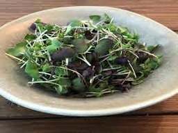 [11034] GREENWOOD FARMS - MICROGREENS (SPICY)  70G