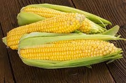 [11207] FRESH CORN (5 PCS)