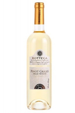 BOTTEGA PINOT GRIGIO