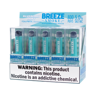 BREEZE PLUS POD - BLUEBERRY MINT