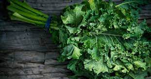 LEAFY PATCH - KALE