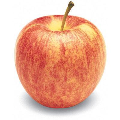 Apples Gala (Market) EA 113ct