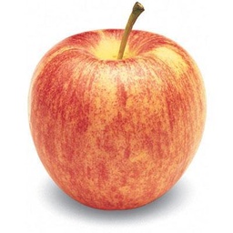 [15733] Apples Gala (Market) EA 113ct